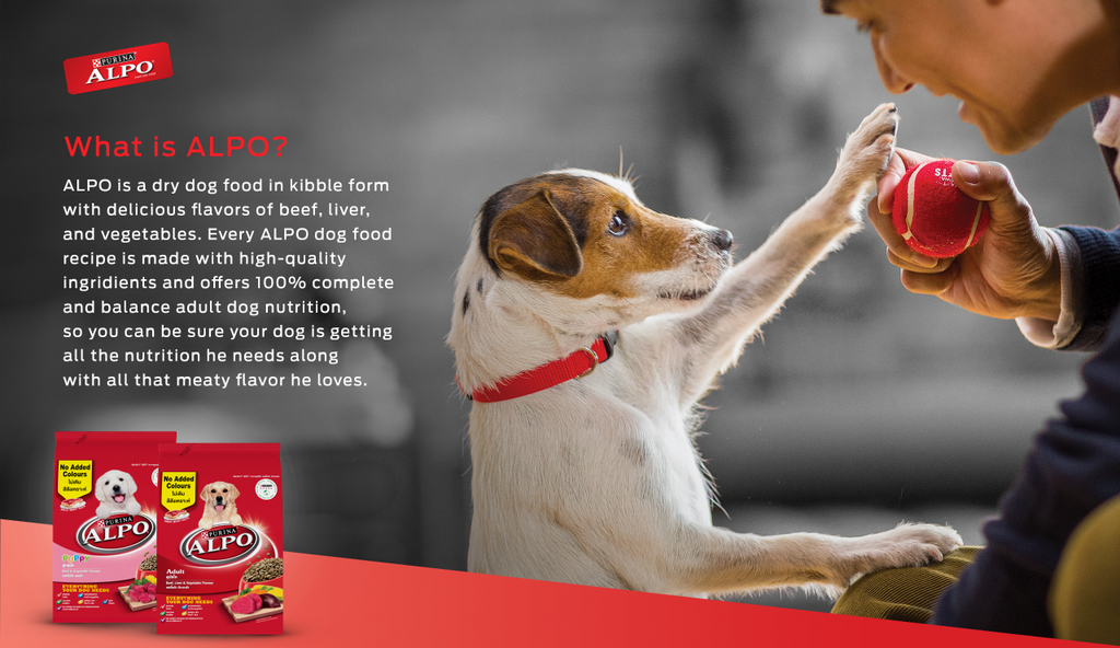 Alpo dry outlet dog food